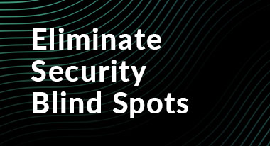 Gigamon-Eliminate-Blind-Spots